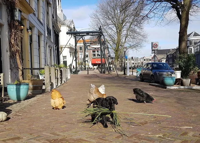 Apartamento 't Hart *