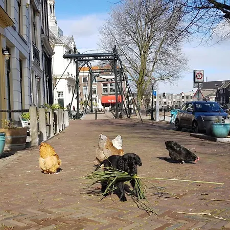 Διαμέρισμα 't Hart *